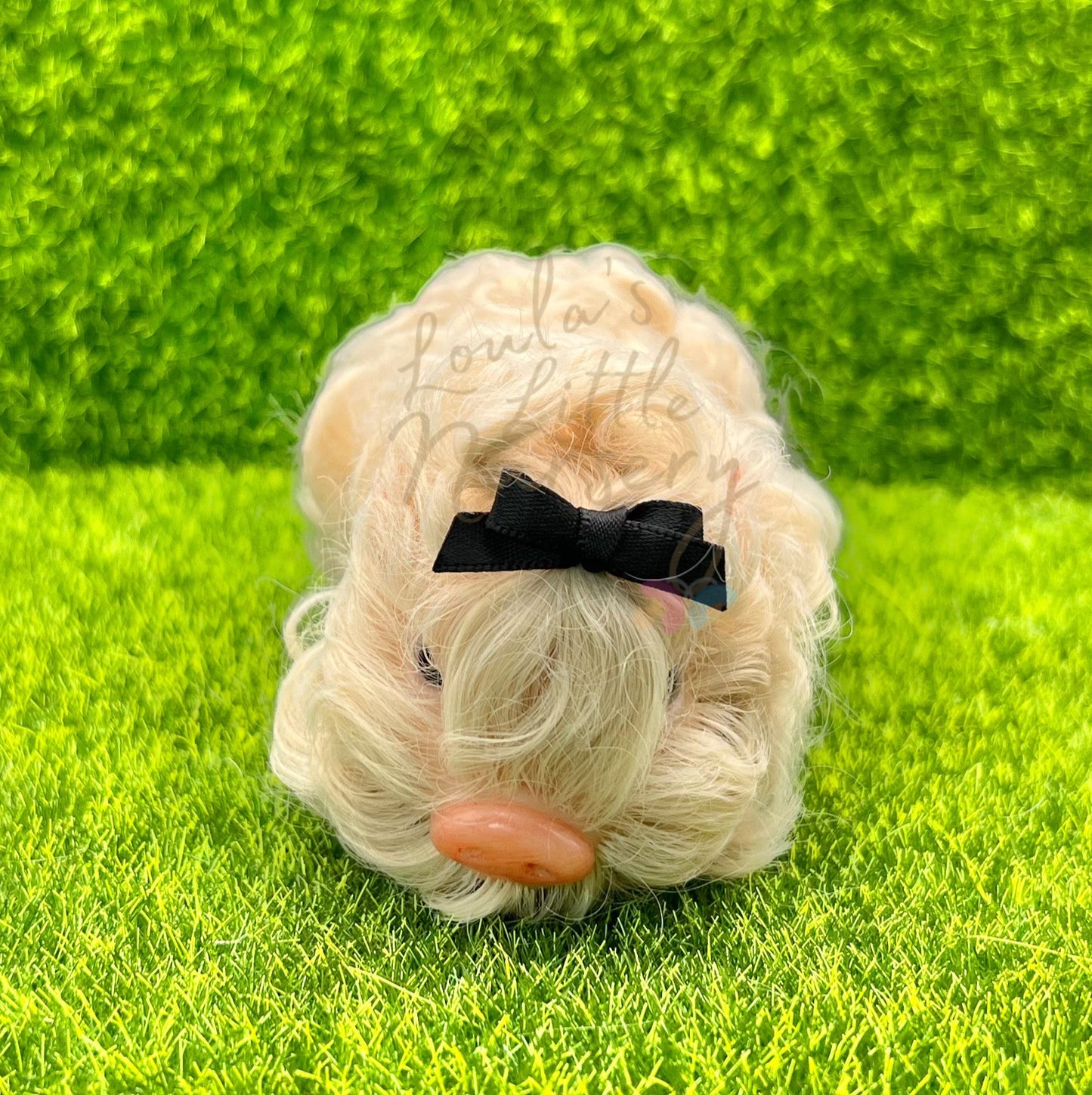 Cottonball The Mangalitza Piglet