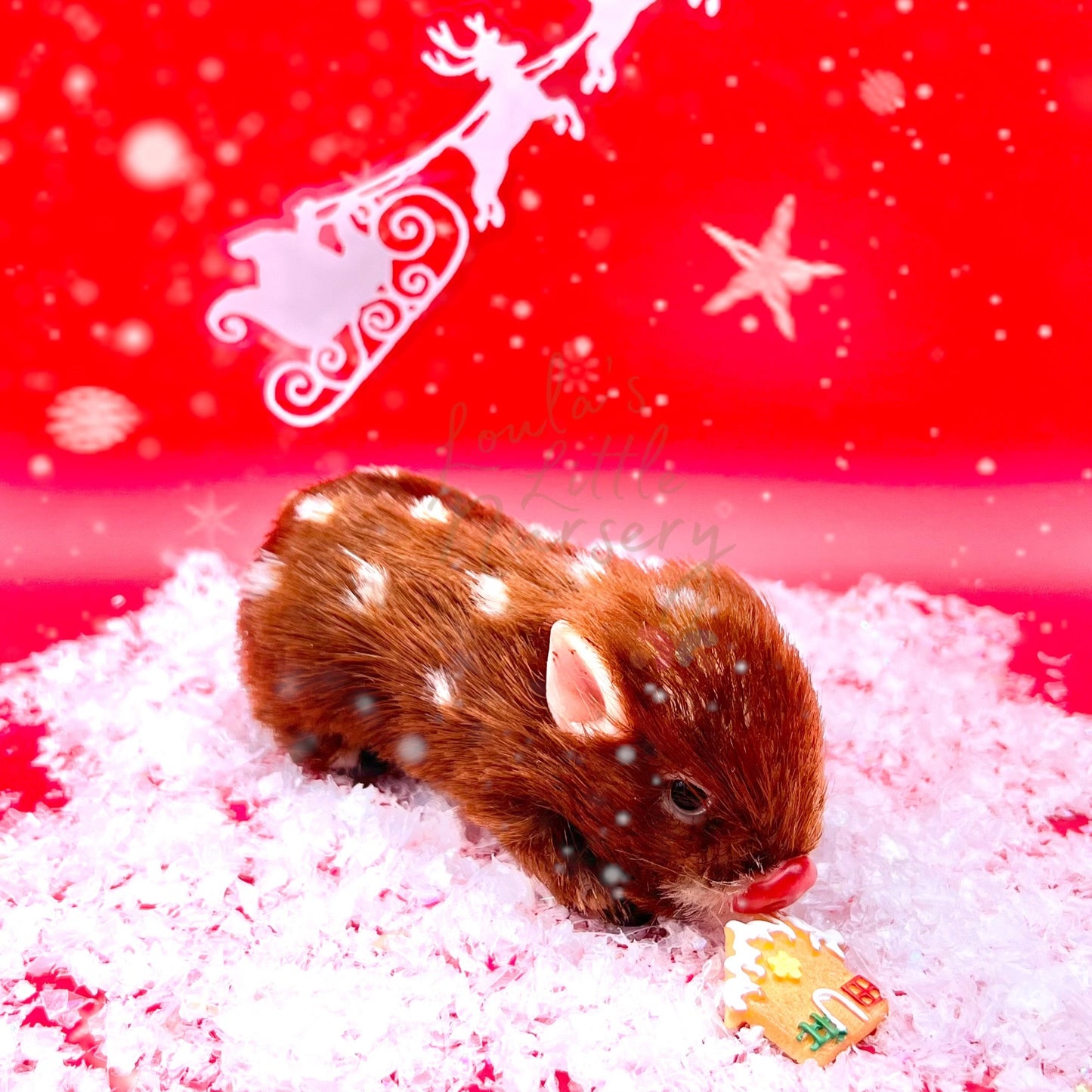 Mini Biscoito de Natal