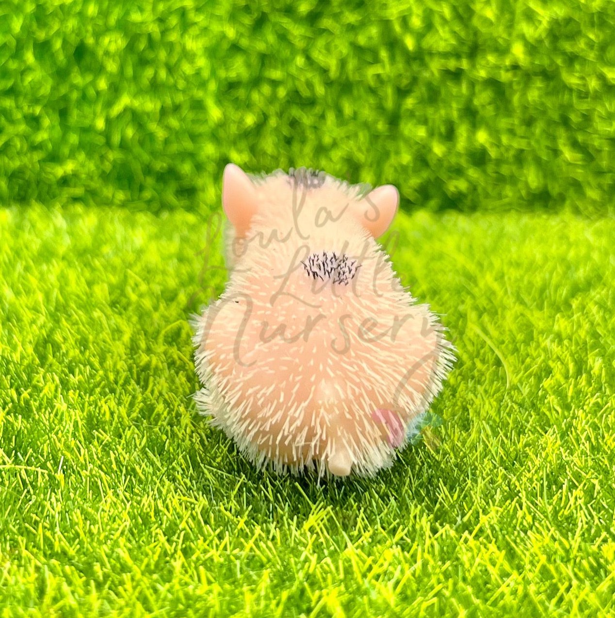 Chubby Spotty Baby Piglet