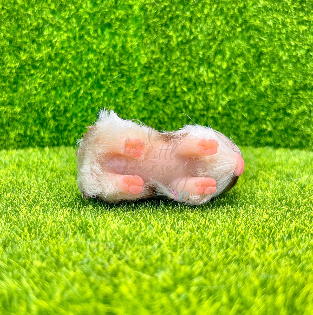 Baby Mocha Piglet - Teeny Weenie Babies Collection®