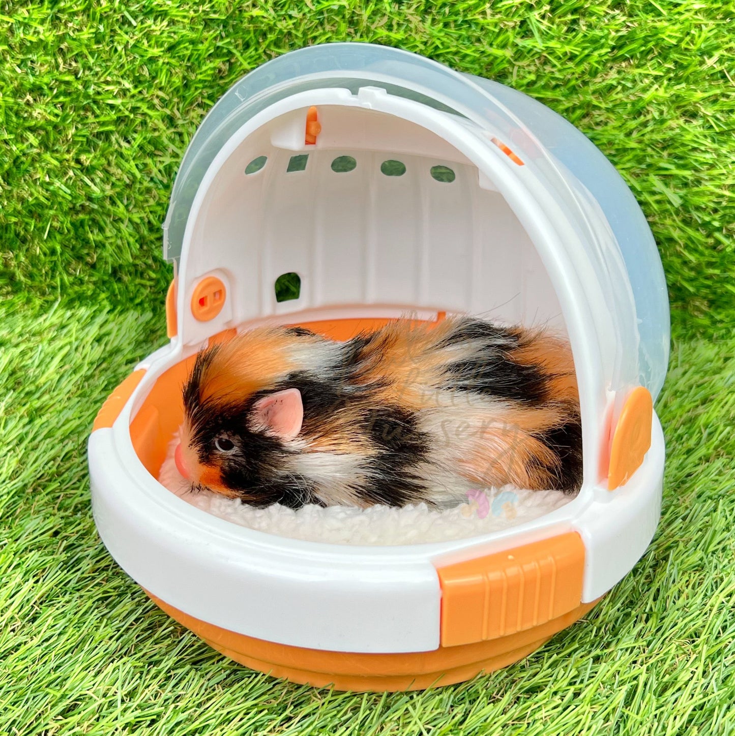 Space Helmet Cage