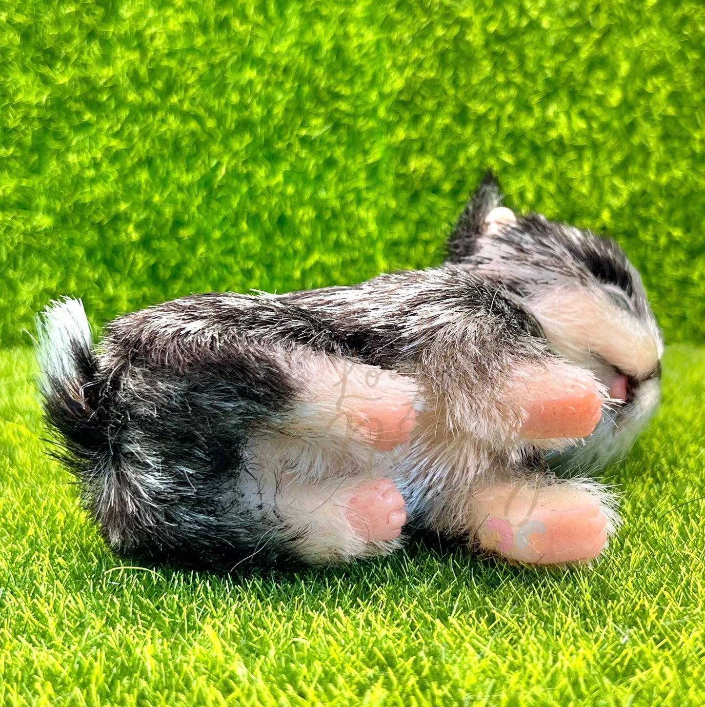 Hugo The Husky Puppy (due to be born in up to 6 weeks+)