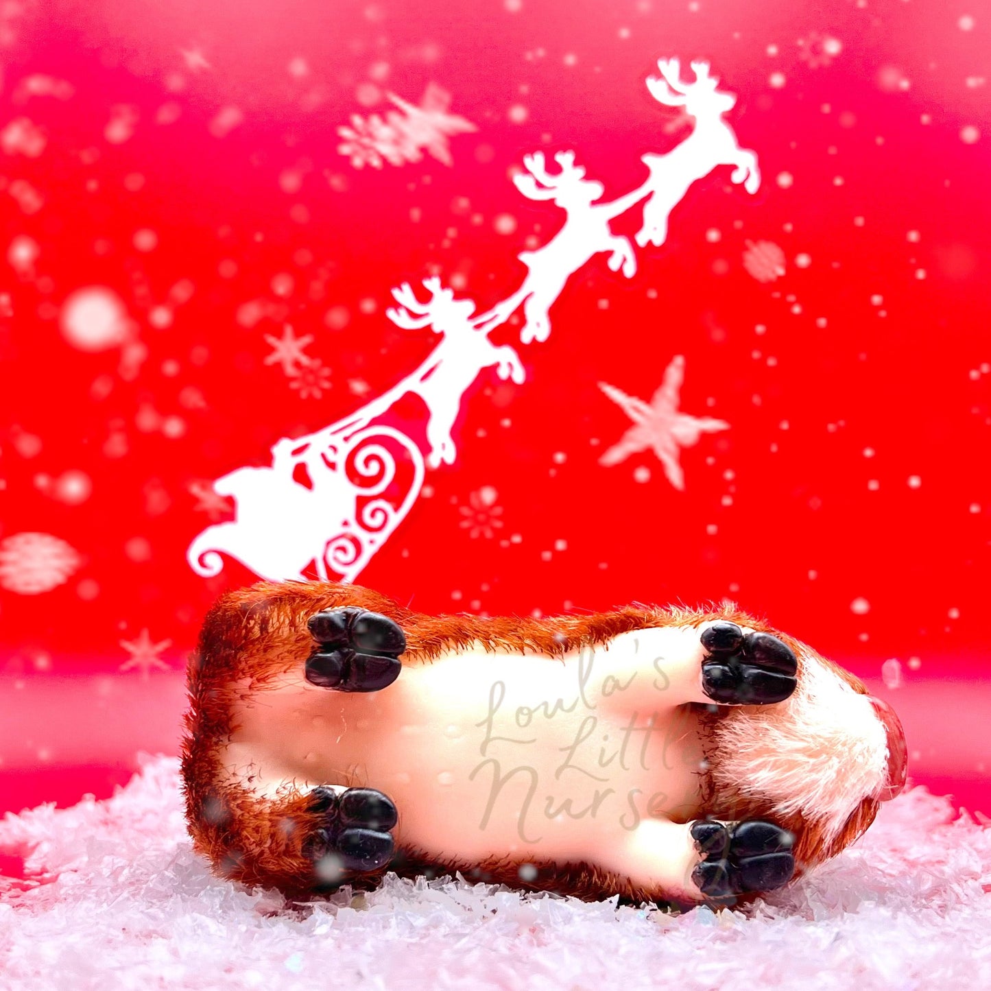 Exclusive Limited Edition Rudolph The Red Nose Reinpiglet (due to be born in up to 6 weeks+)