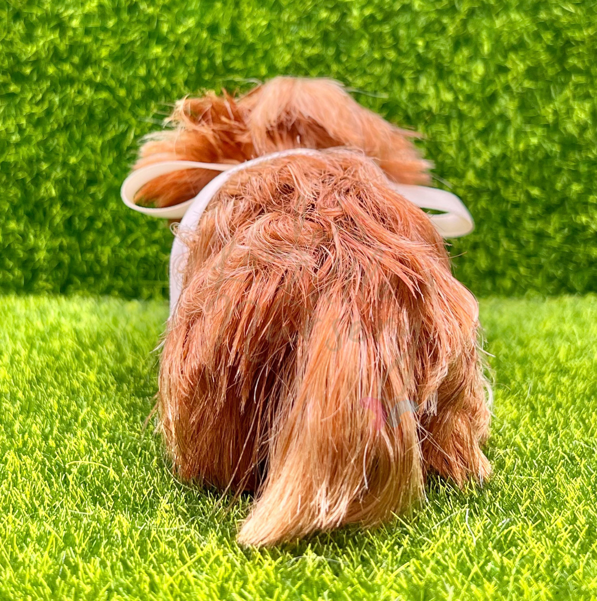 Dorothy The Highland Cow