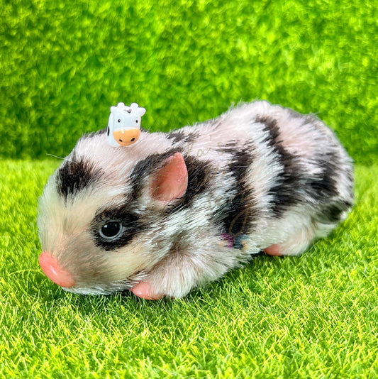 Juguete de los amigos de la vaca