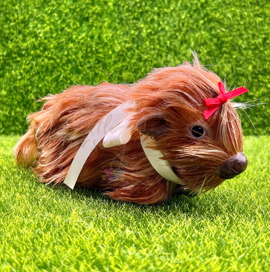 Dorothy The Highland Cow