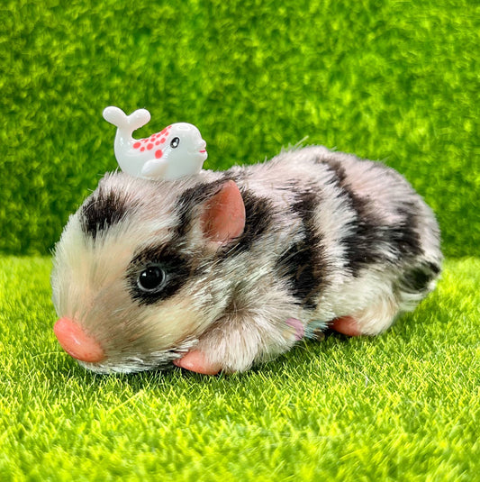 Juguete Amigos Ballena