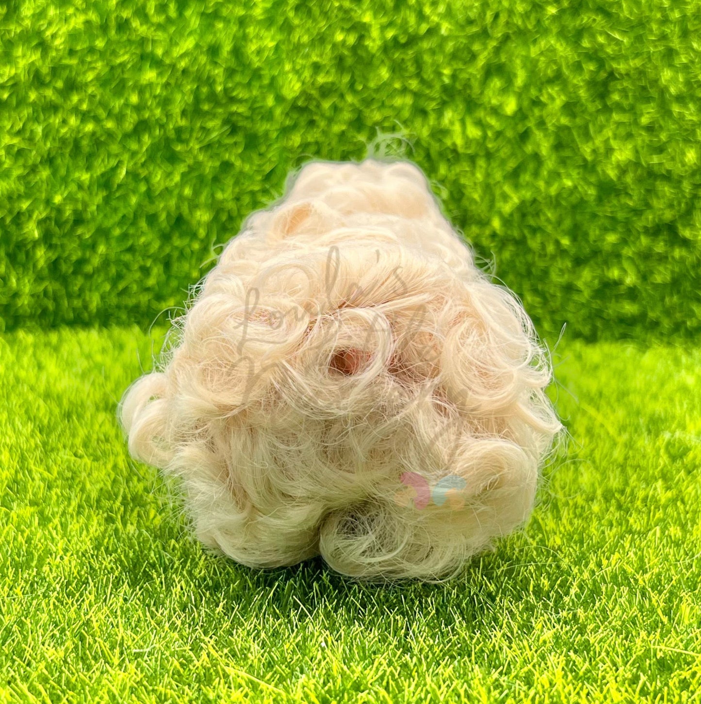 Cottonball The Mangalitza Piglet