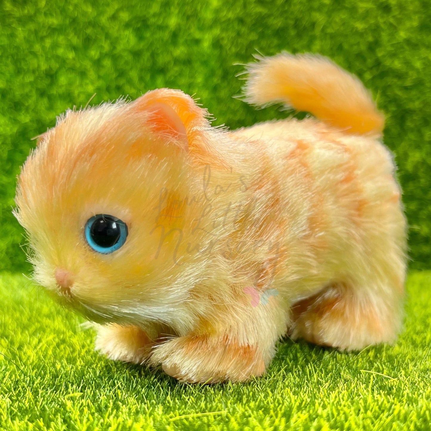 PRE ORDER Sunset The Ginger Tabby Kitten