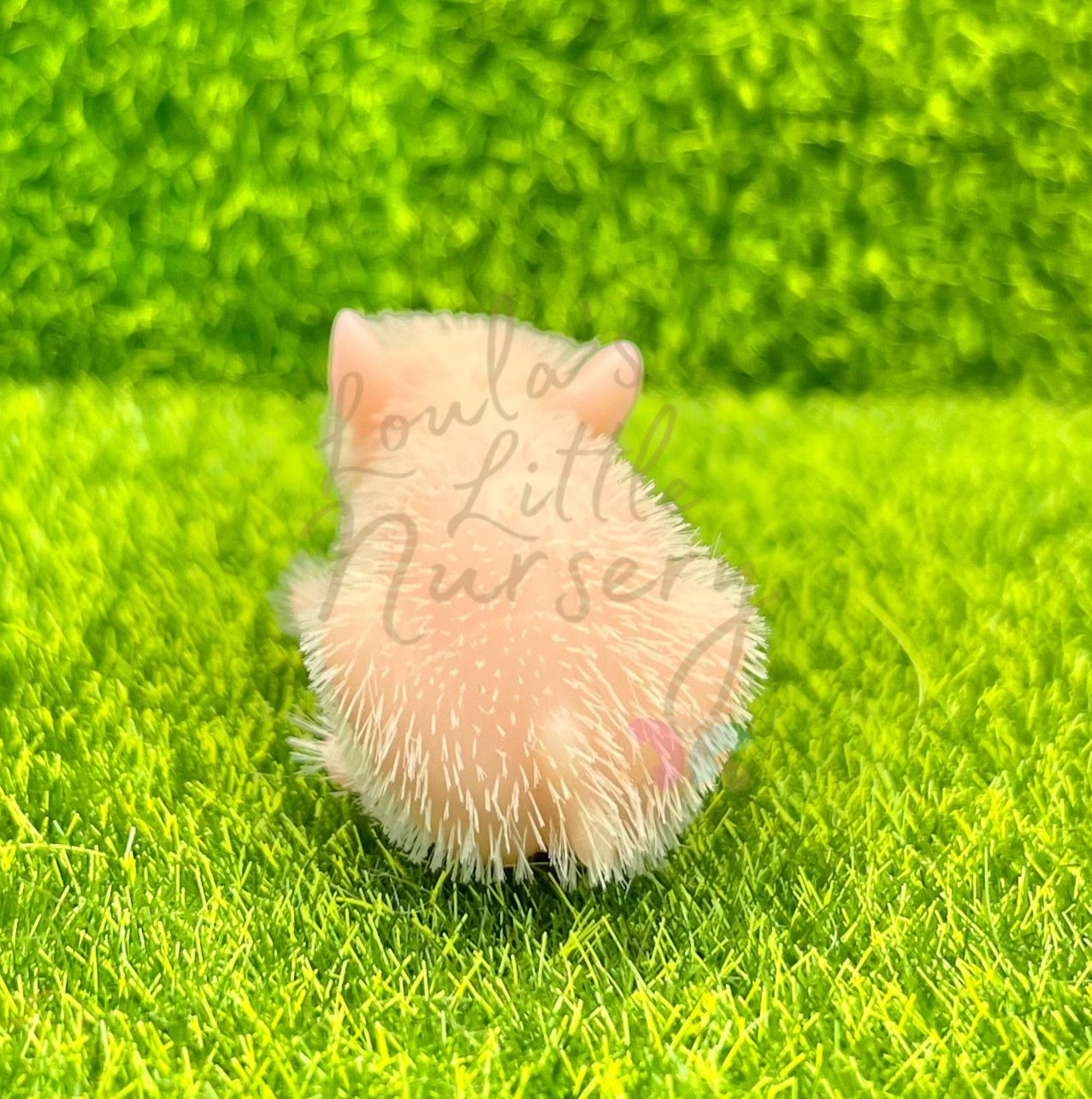 Chubby White Baby Piglet