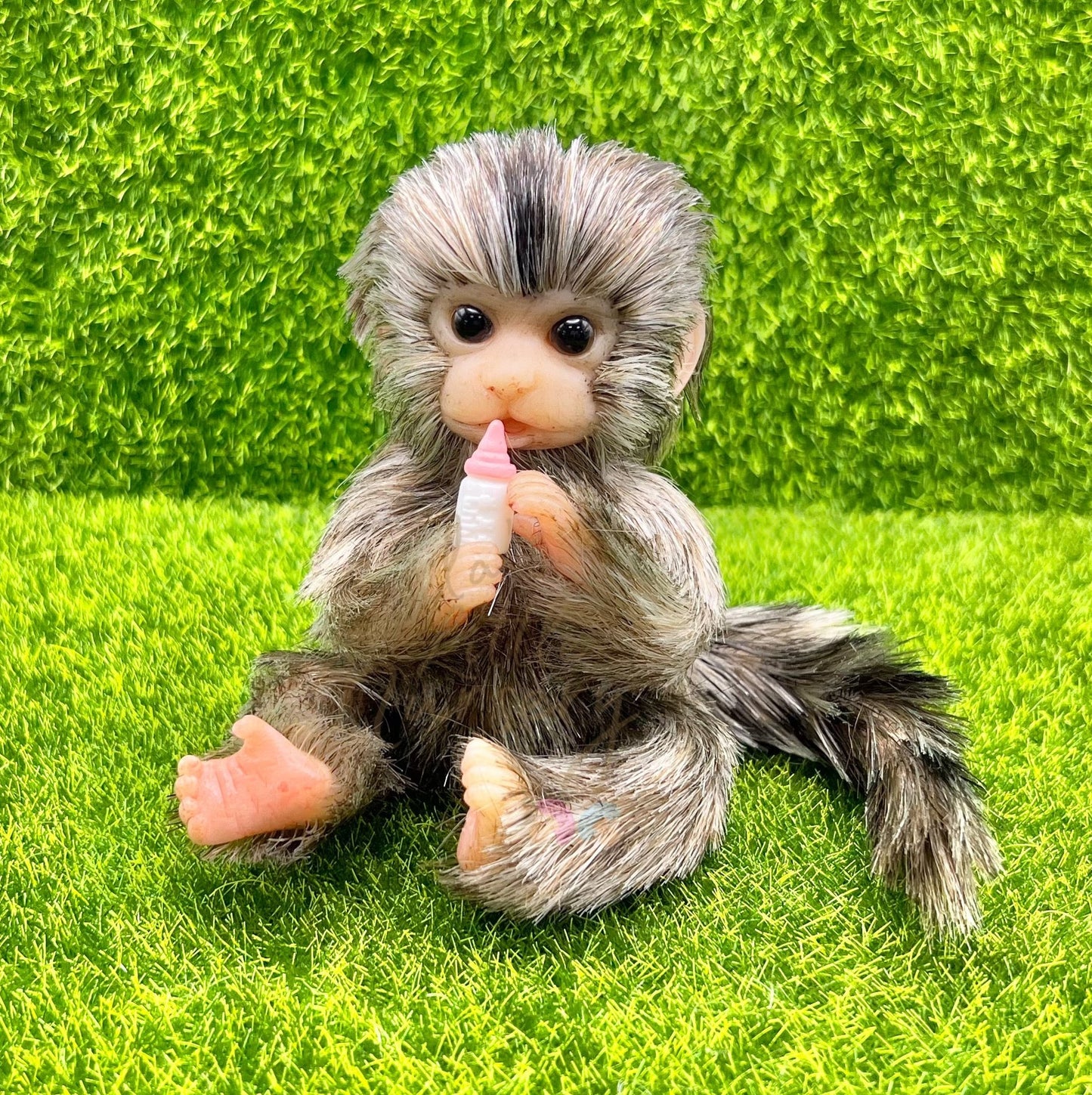 Finger Marmoset Monkey Holding Milk Bottle (due to be born in up to 6 weeks+)