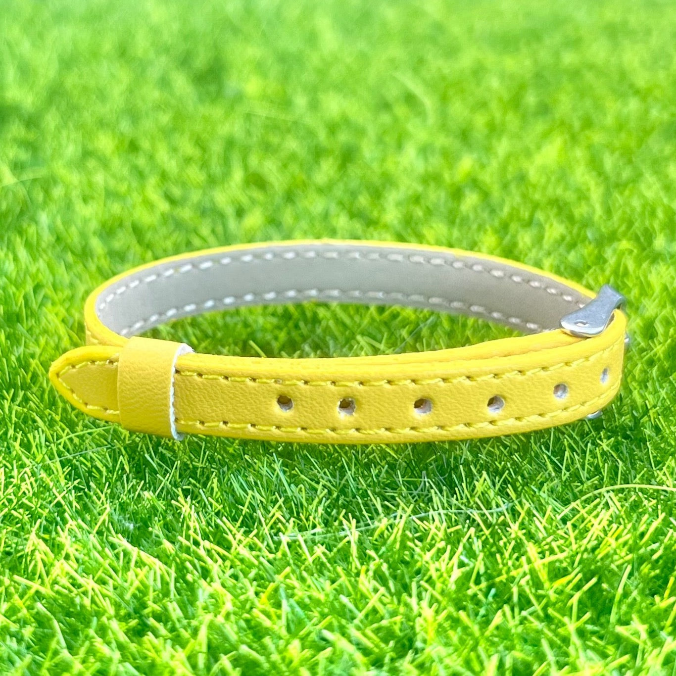 Realistic Leather Collar