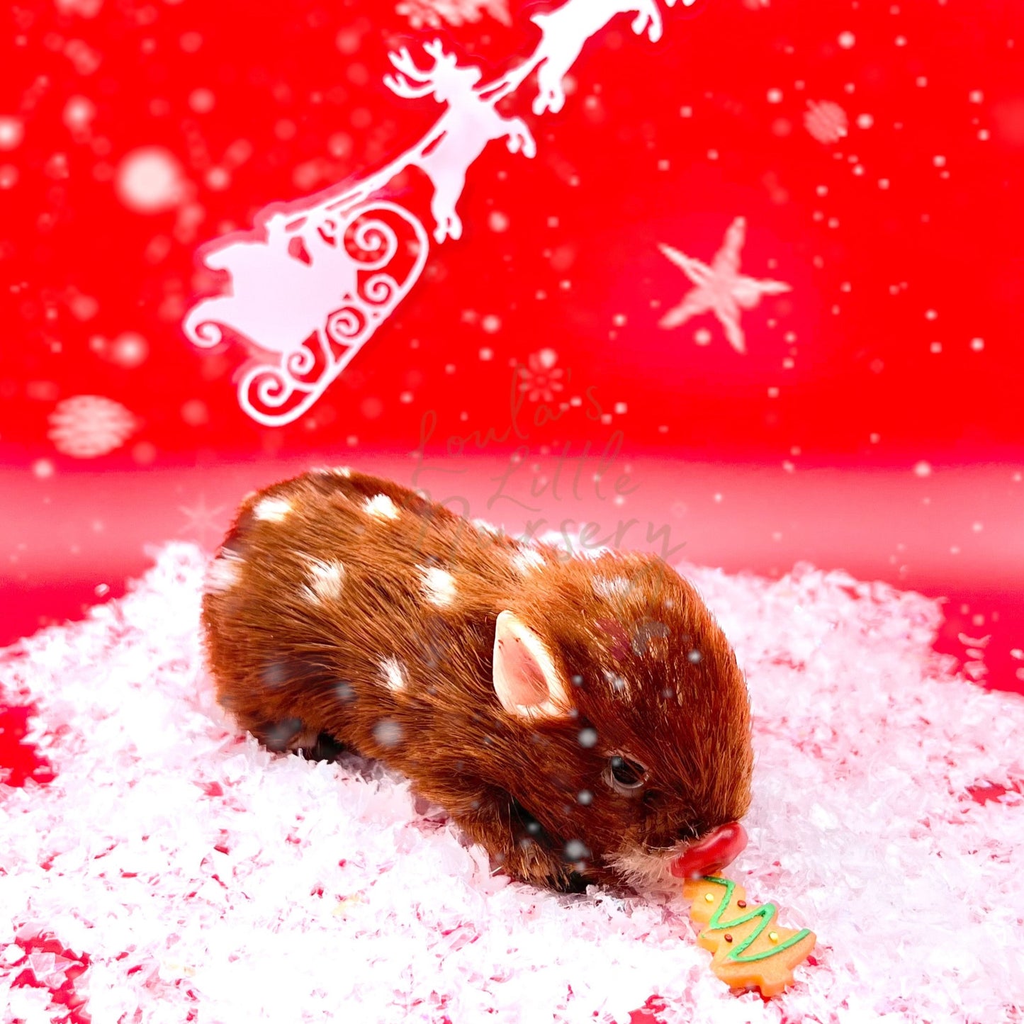 Mini Biscoito de Natal