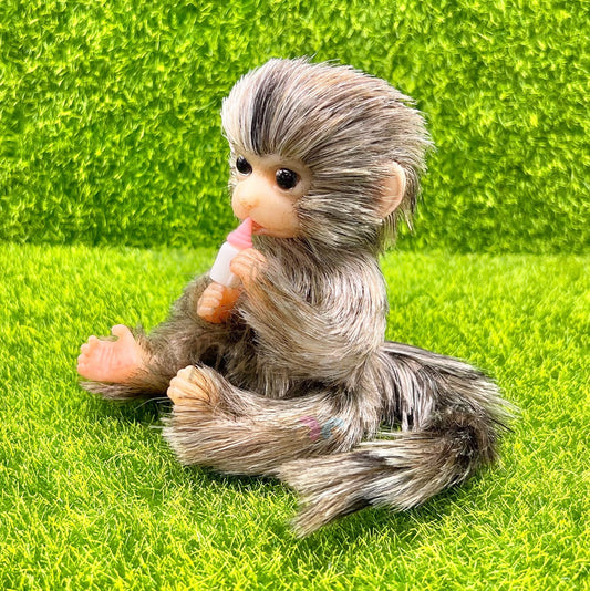 Finger Marmoset Monkey Holding Milk Bottle (due to be born in up to 6 weeks+)