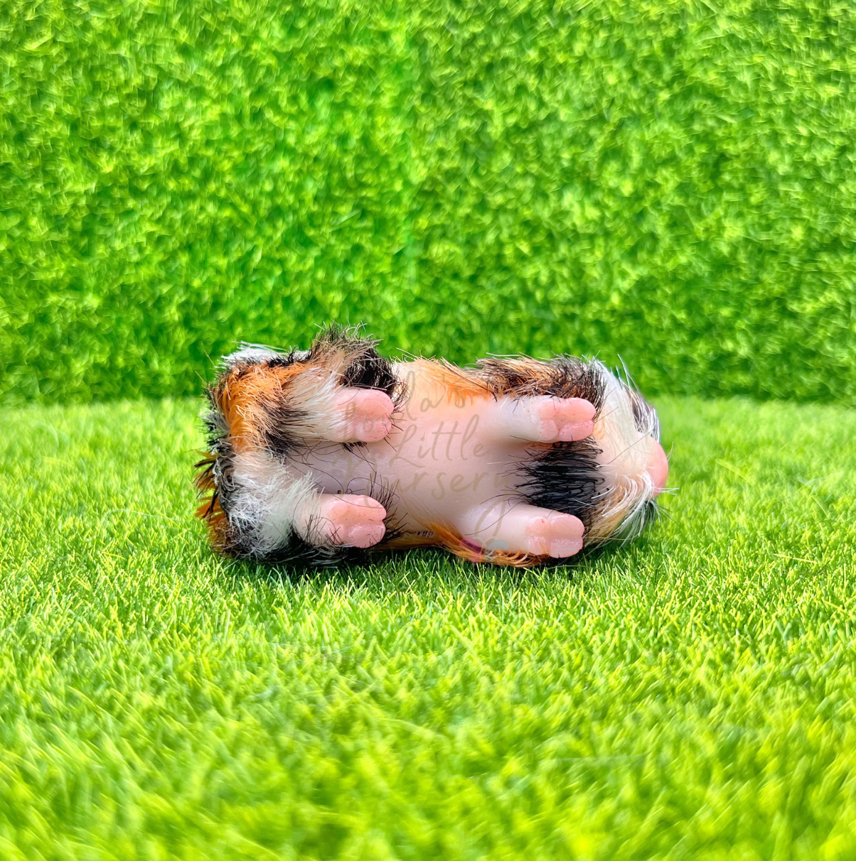 Baby Fireball Piglet - Teeny Weenie Babies Collection®