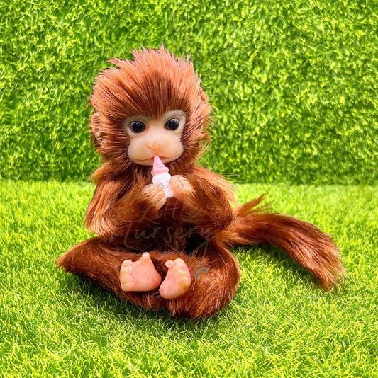 Red Howler Monkey Holding Milk Bottle (due to be born in up to 6 weeks+)