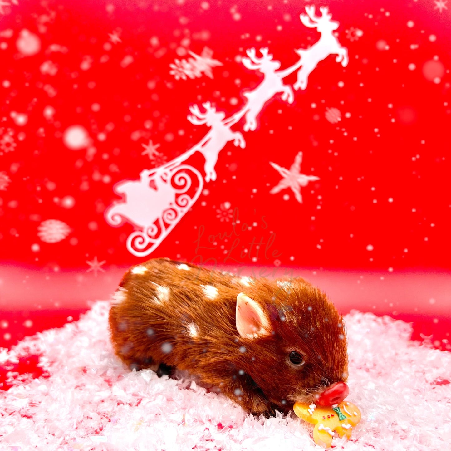 Mini Biscoito de Natal