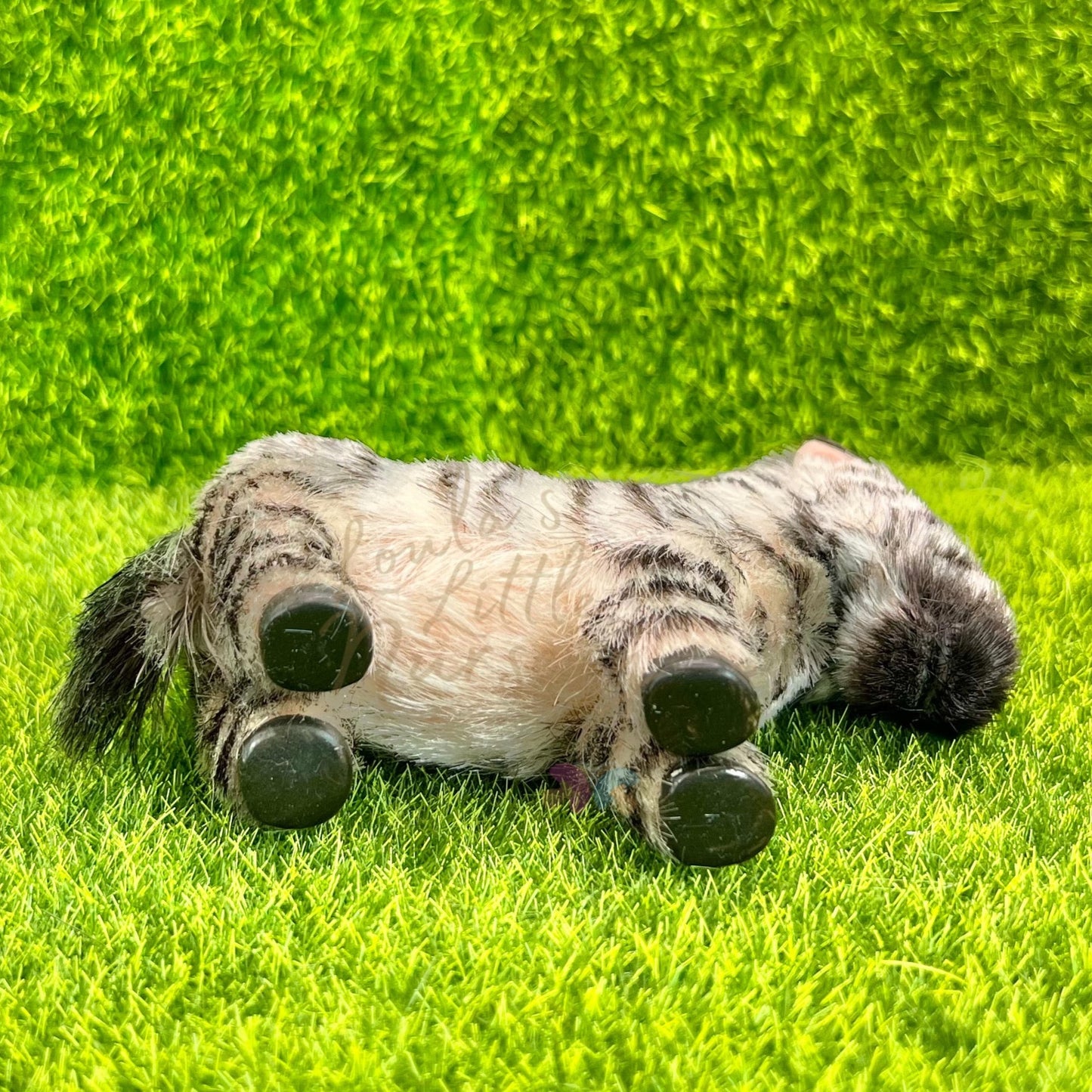 PRE ORDER Savanna The Zebra Foal