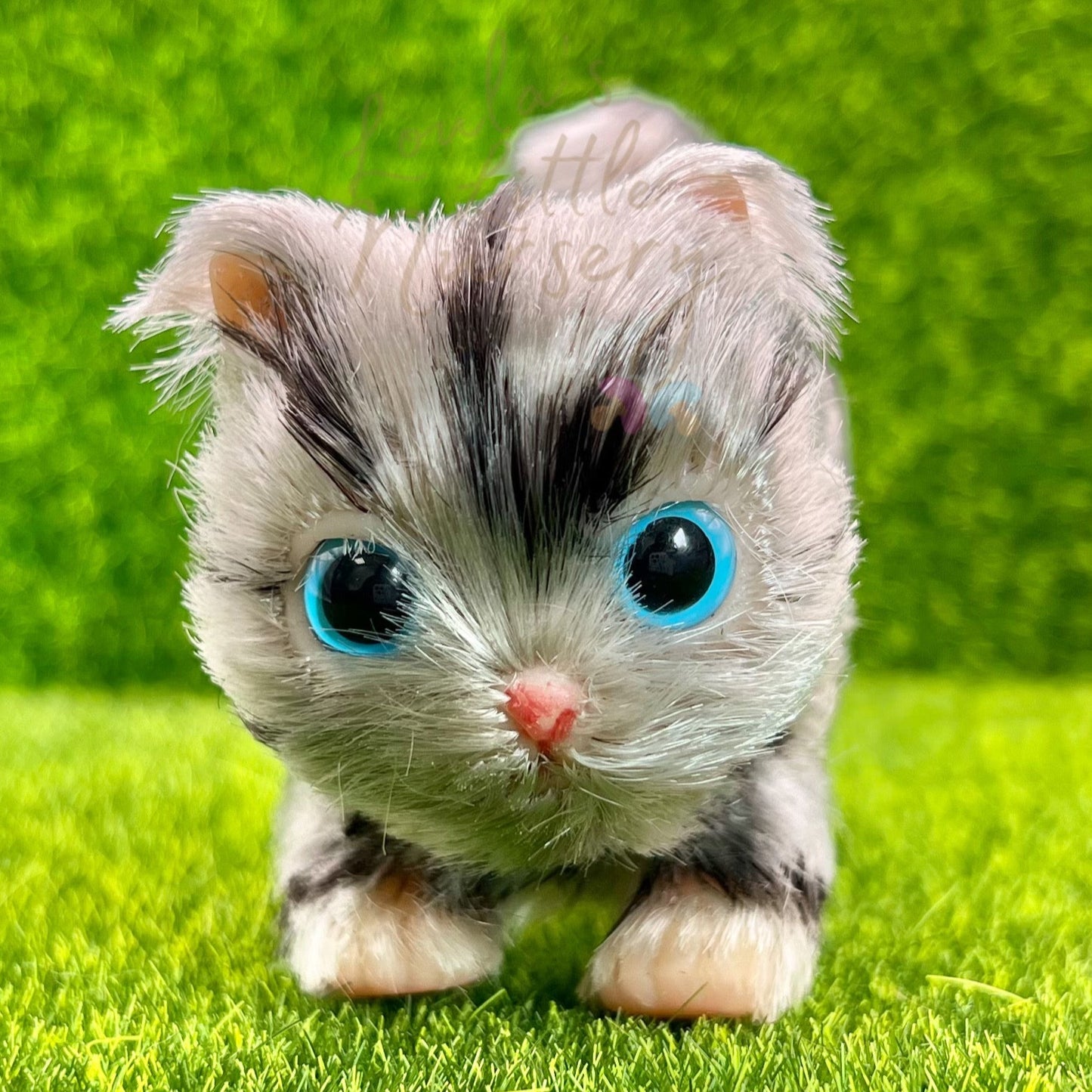 PRE ORDER Smokey The Grey Tabby Kitten