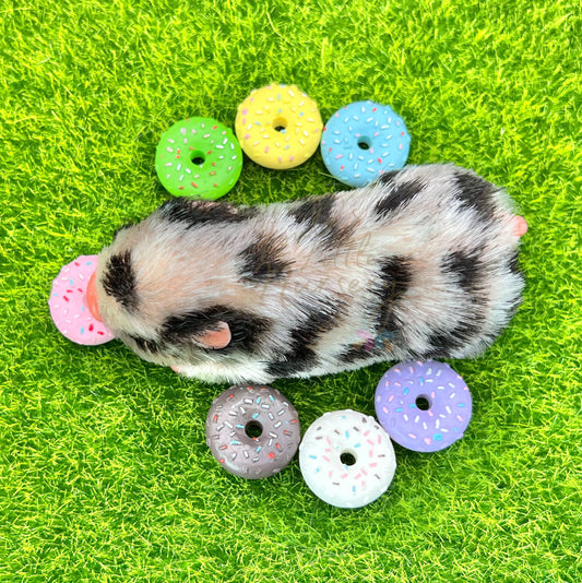 Mini Donut de Fingir