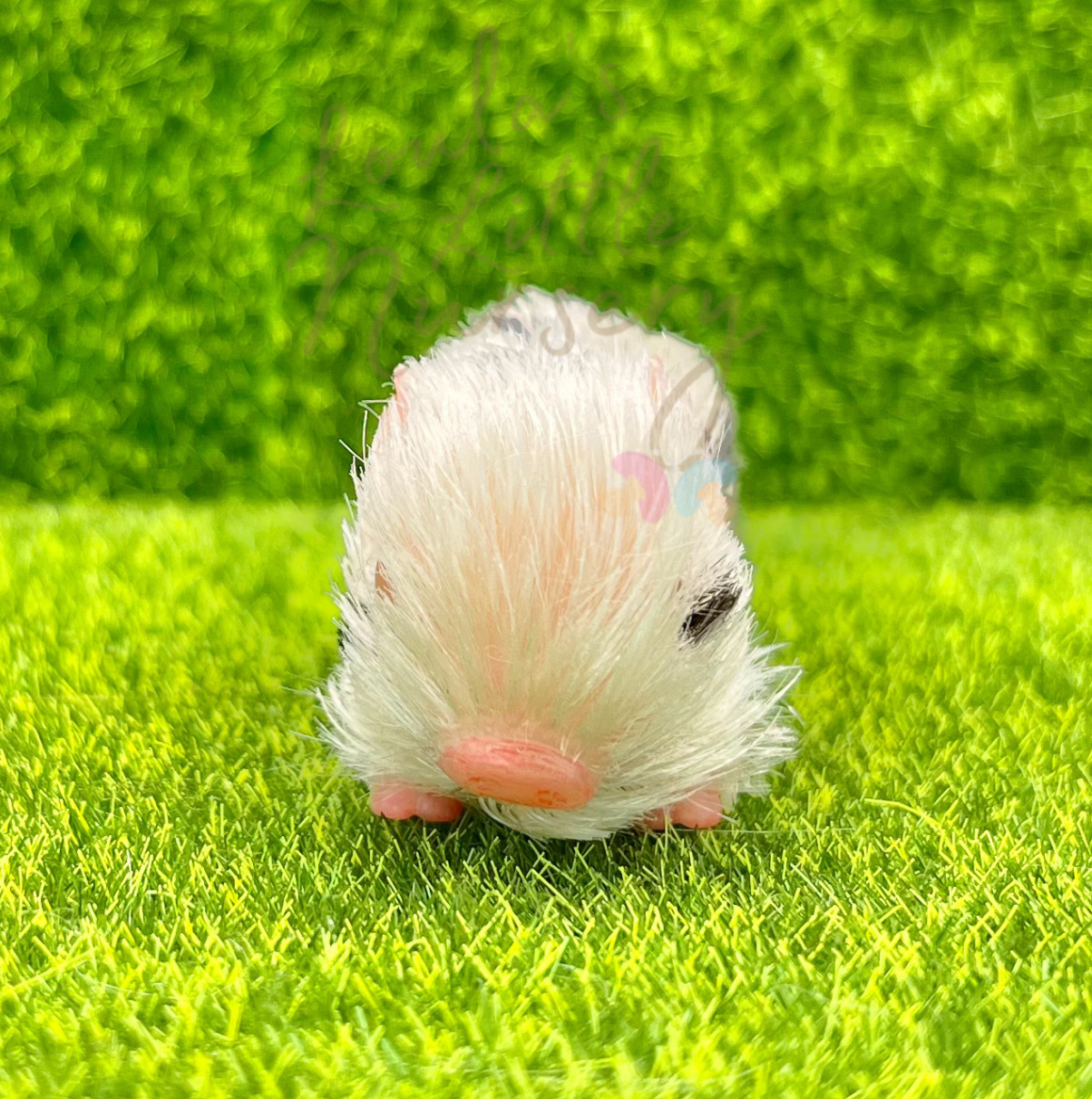 Baby Polka Dot Piglet  - Teeny Weenie Babies Collection® (due to be born in up to 6 weeks+)