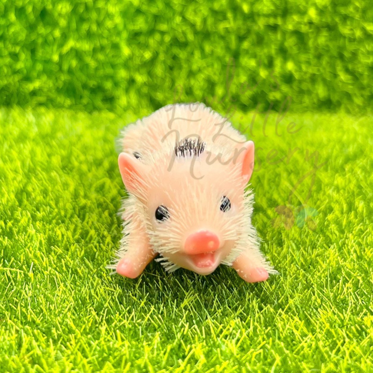 Chubby Spotty Baby Piglet