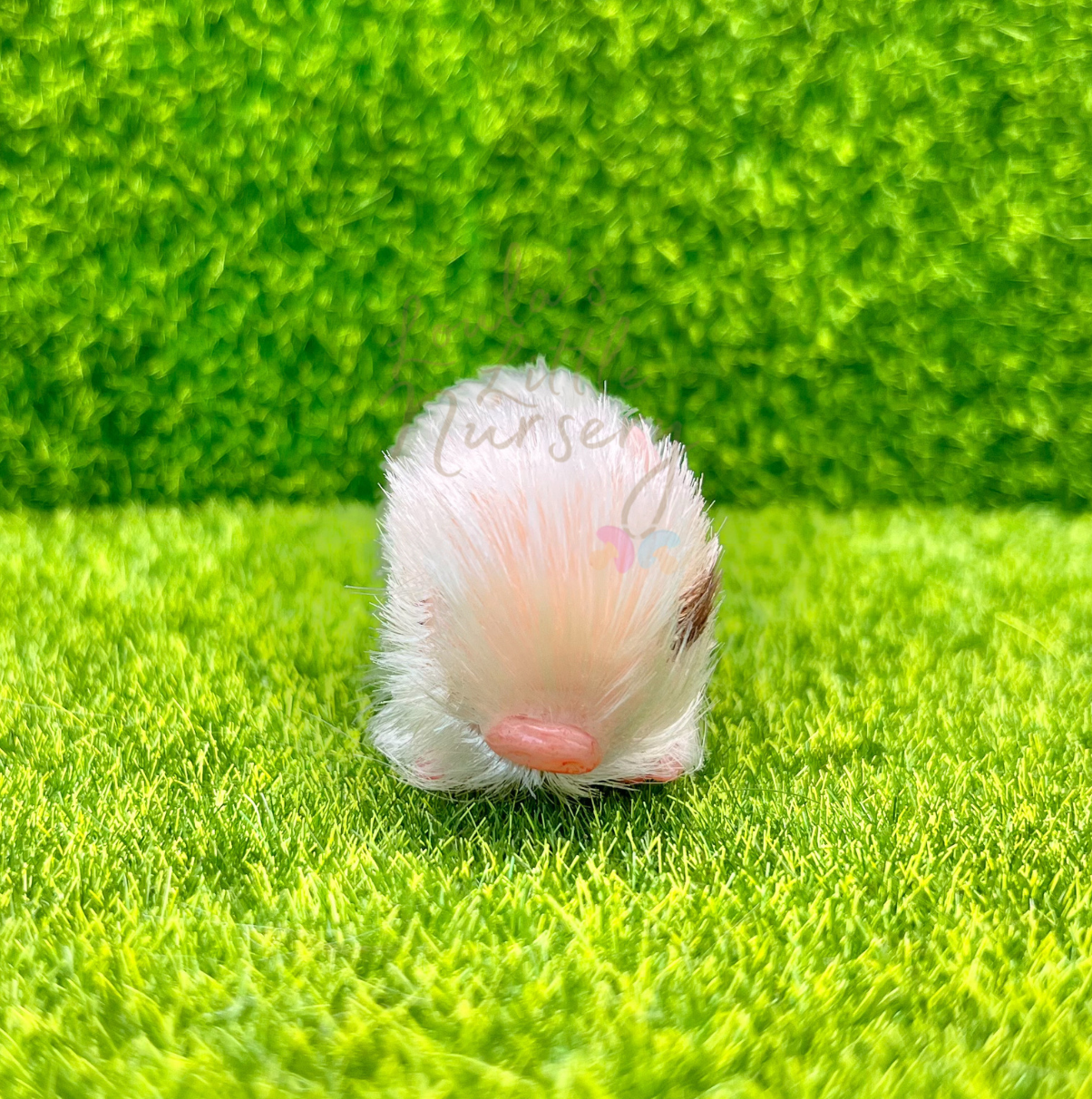 Baby Buttons Piglet - Teeny Weenie Babies Collection®