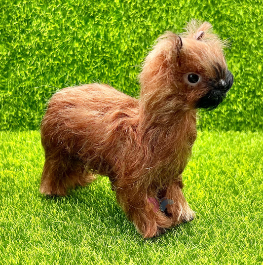 Honey The Suri Alpaca