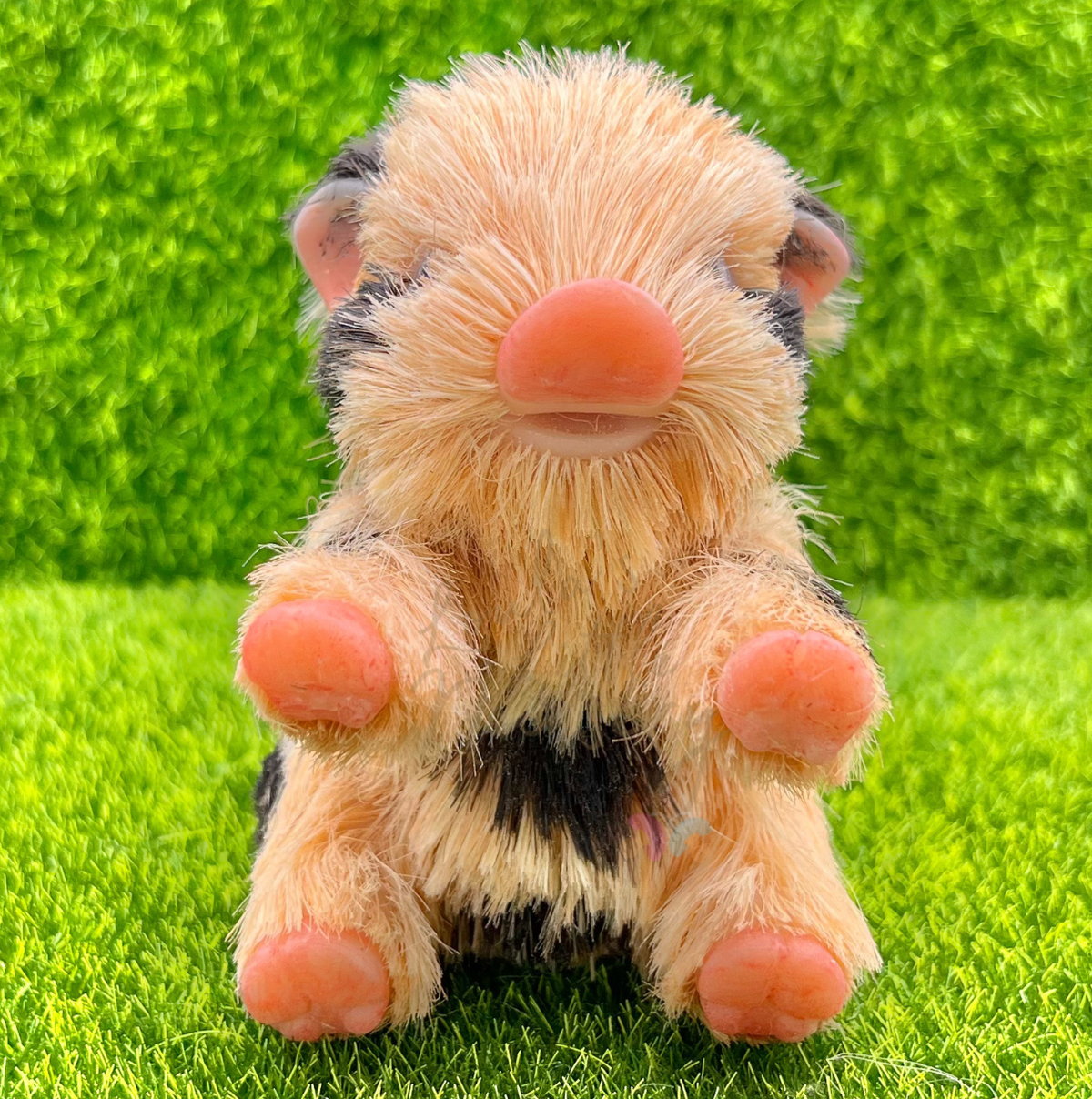 Pumpkin The Oxford Sandy Piglet - Miniature Reborn Silicone Piglets