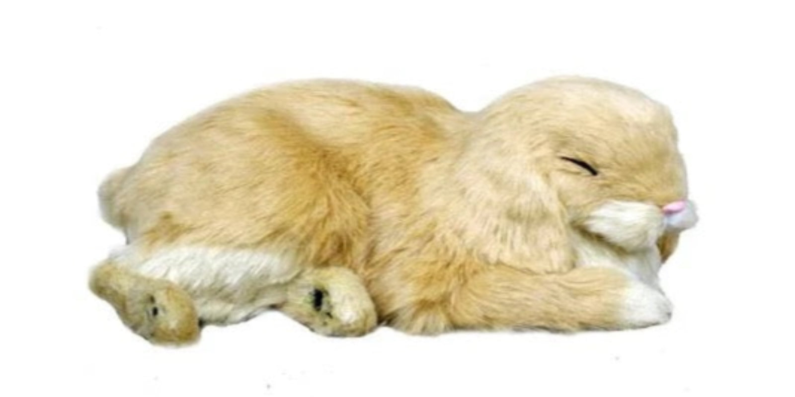 Mini Lop Eared Bunny Precious Petzzz – Loula's Little Nursery