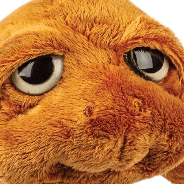 Orla Turtle Plush - Suki Sealife