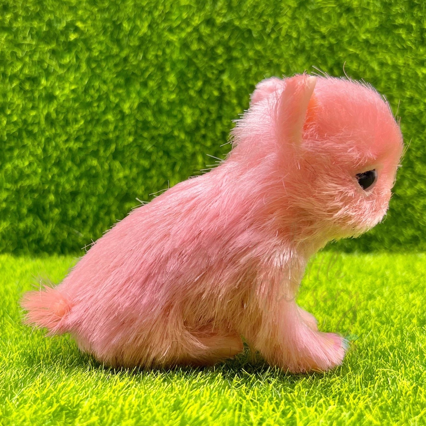 BonBon The Chihuahua Puppy - Loula’s Little Nursery