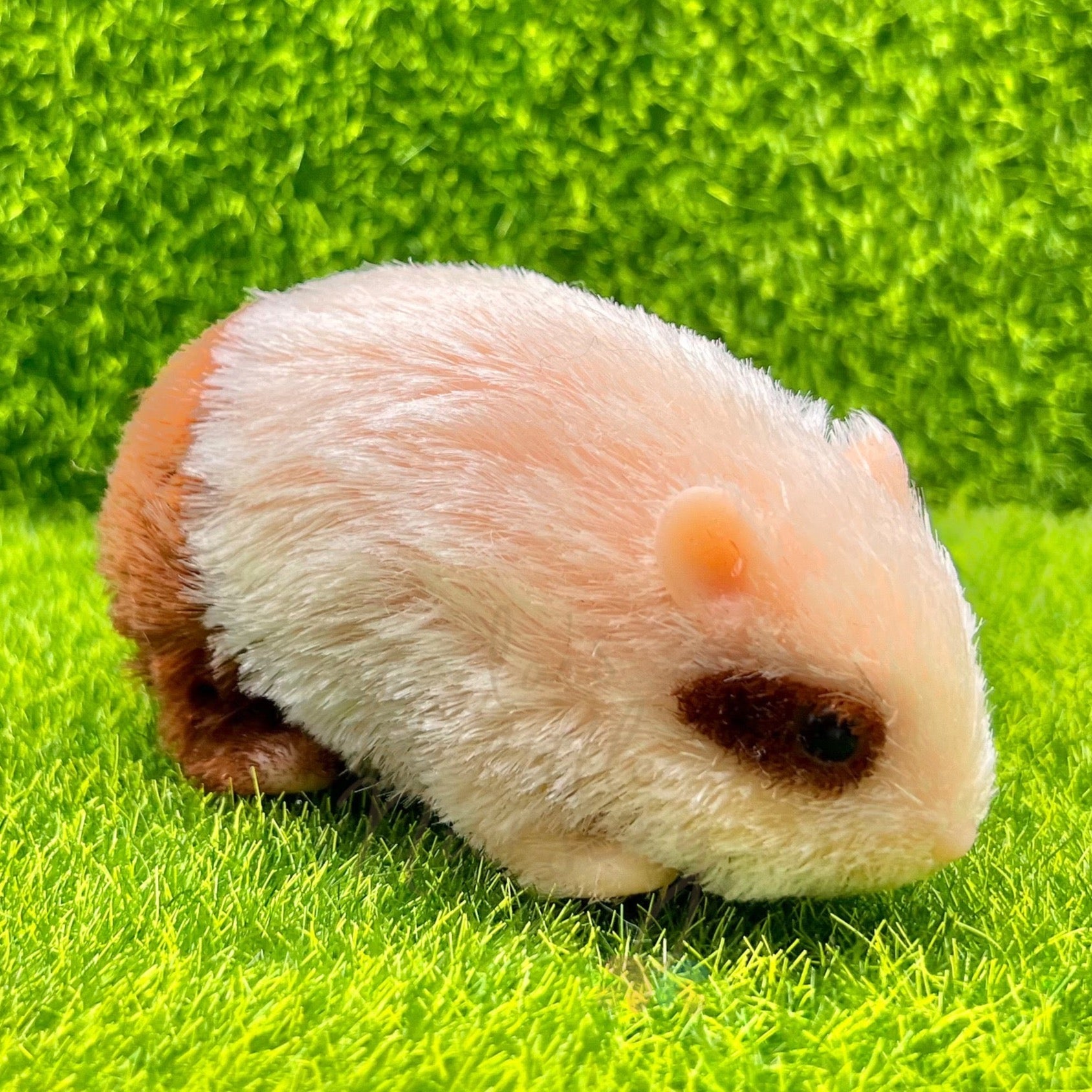 Chocolate Syrian Hamster - Loula’s Little Nursery