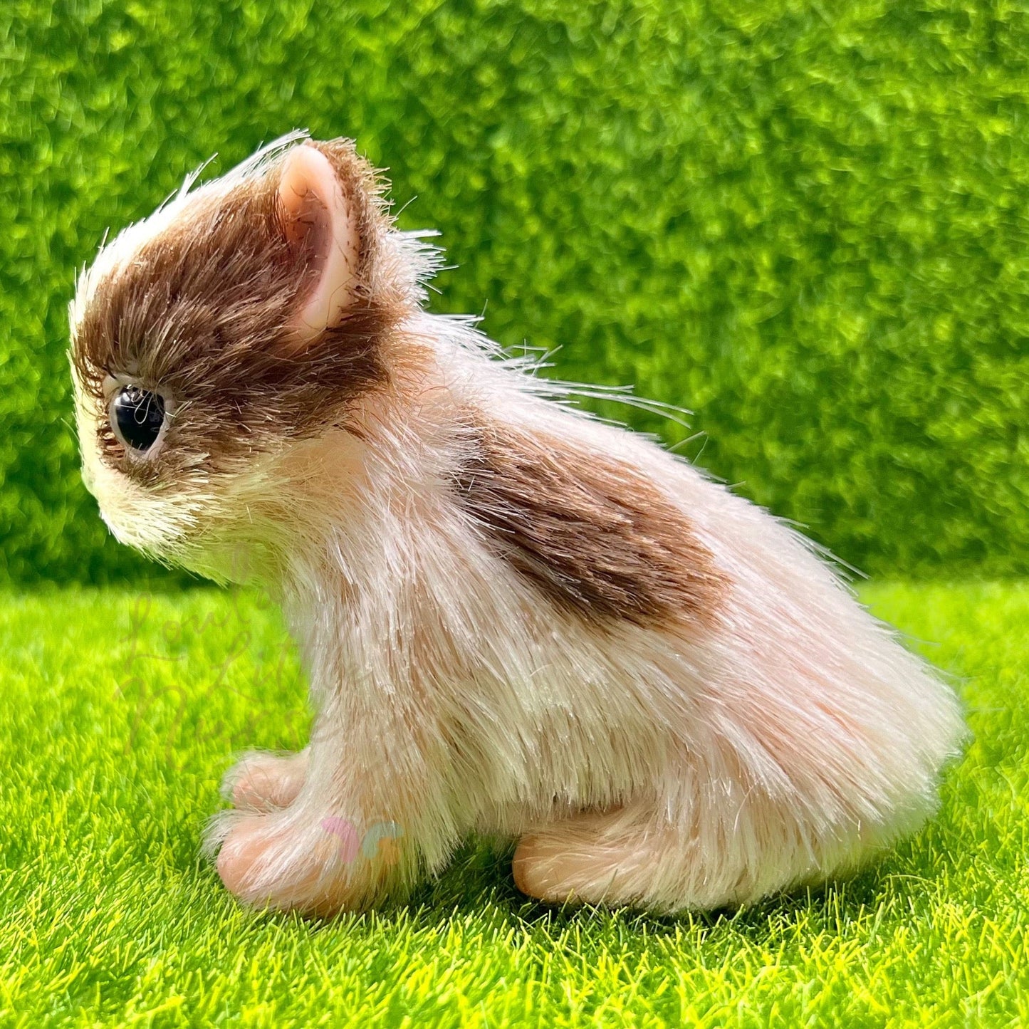 Chocolate The Chihuahua Puppy - Loula’s Little Nursery