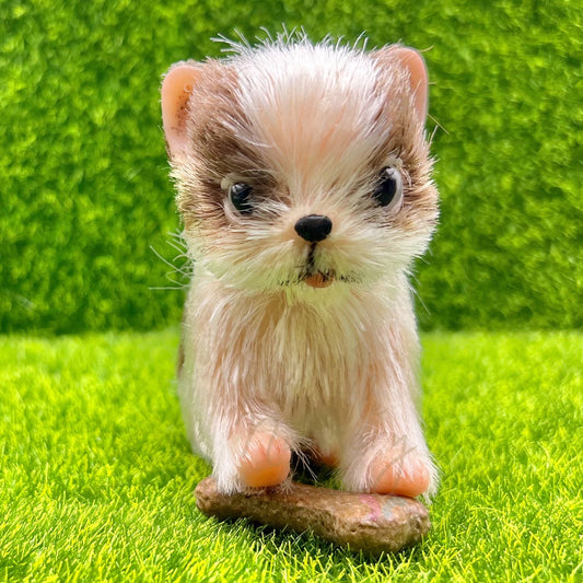 Chocolate The Chihuahua Puppy - Loula’s Little Nursery