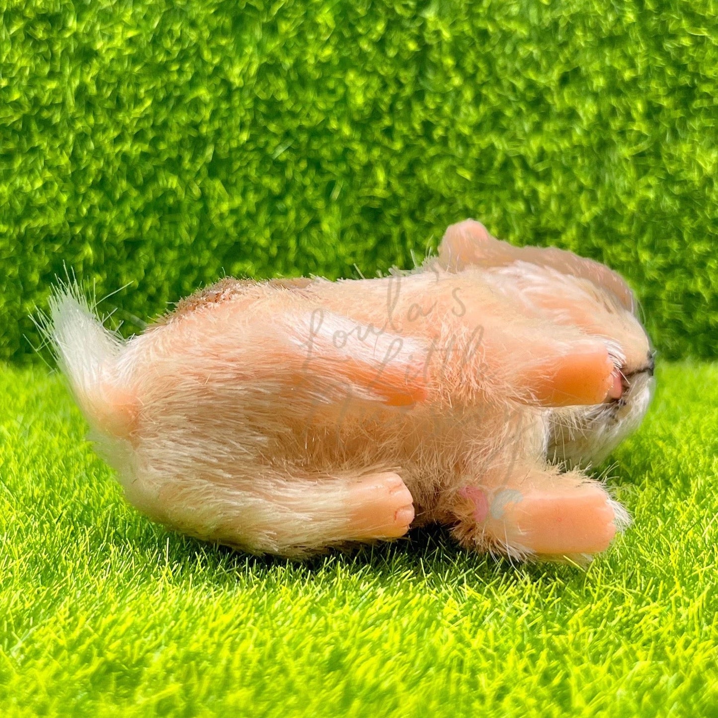 Chocolate The Chihuahua Puppy - Loula’s Little Nursery