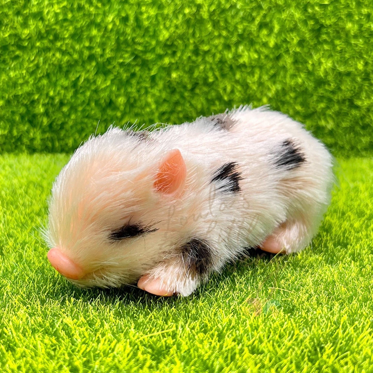 Exclusive Sleeping Polka Dot Piglet - Loula’s Little Nursery