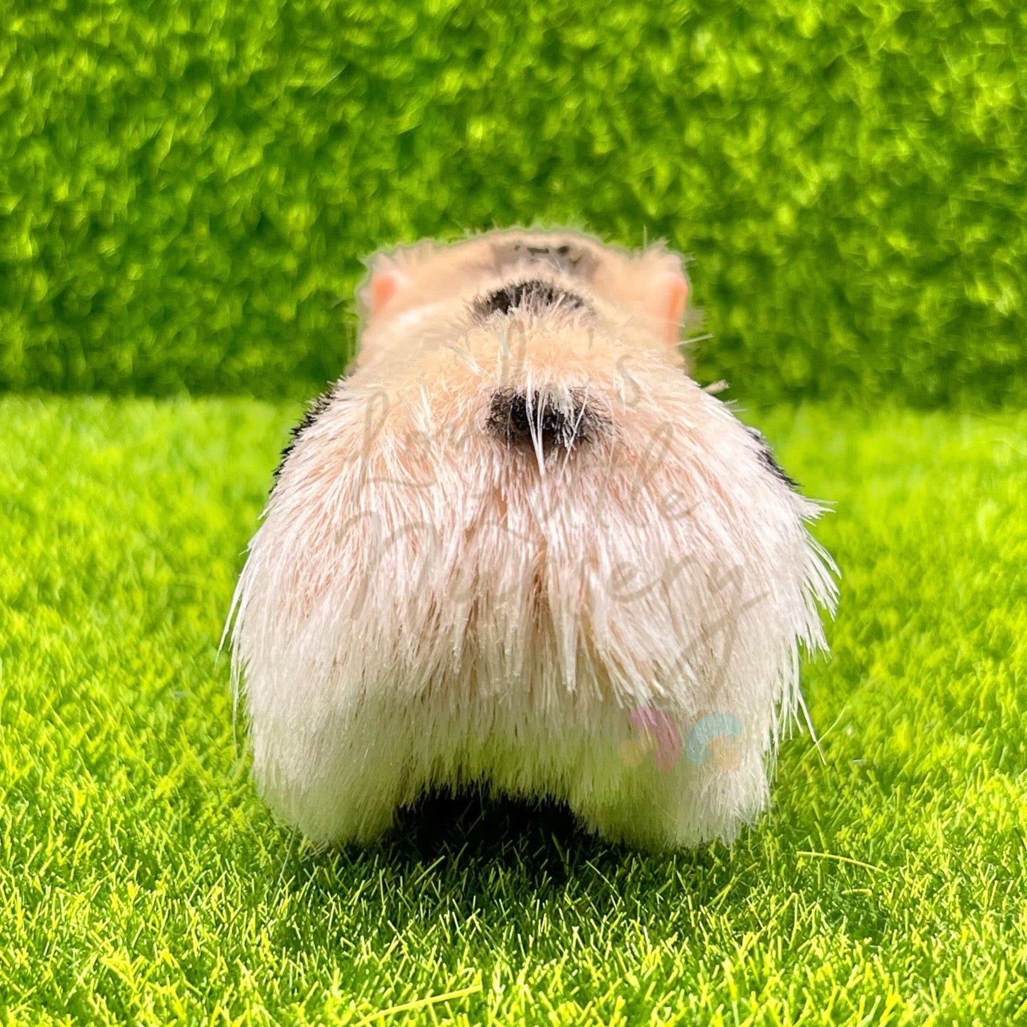 Exclusive Sleeping Polka Dot Piglet - Loula’s Little Nursery