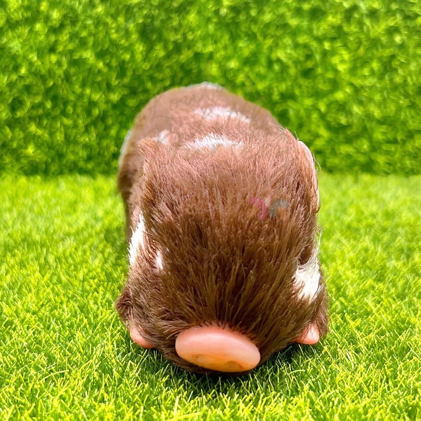 PRE ORDER Exclusive Chocolate Milkyway Piglet - Loula’s Little Nursery