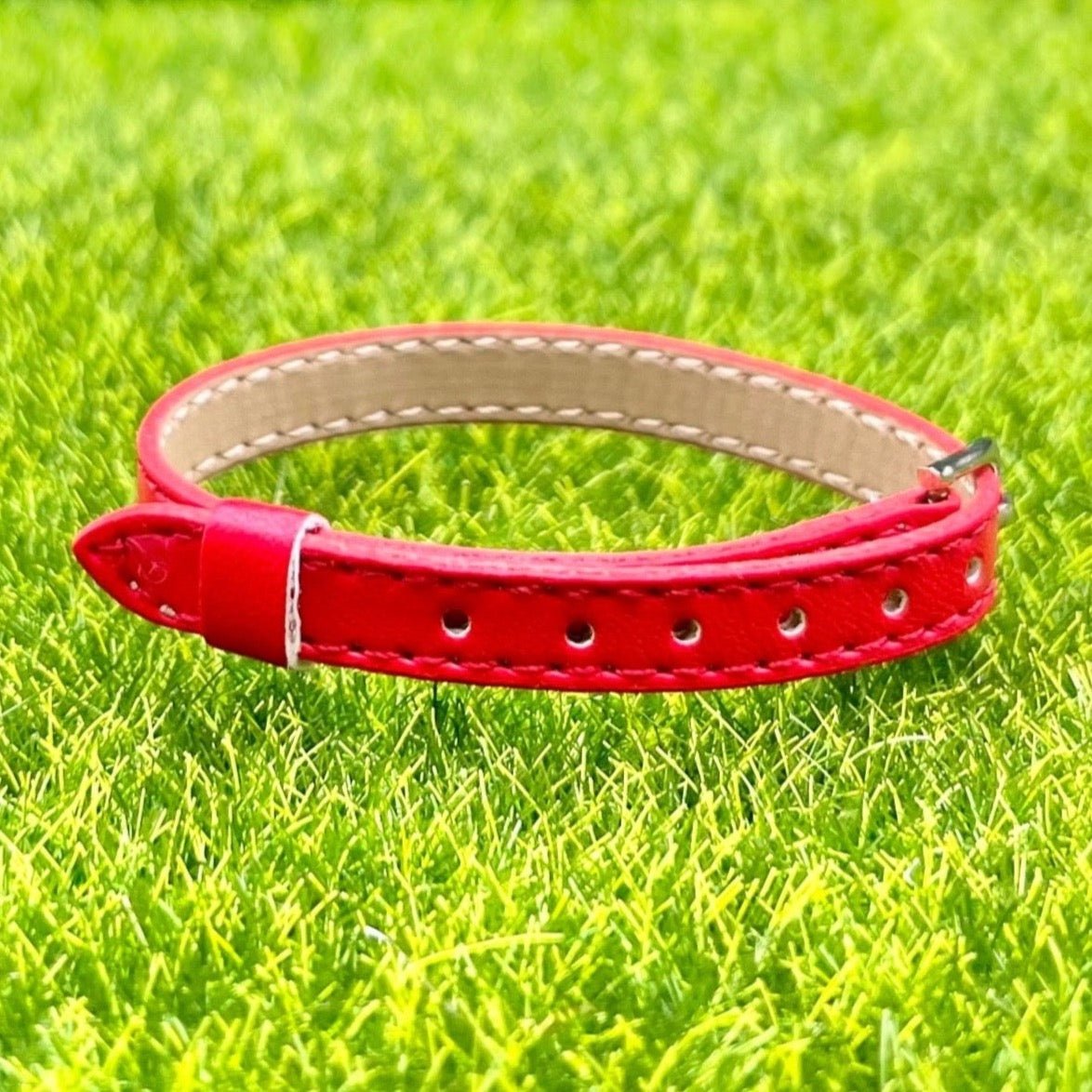 Realistic Leather Collar - Loula’s Little Nursery