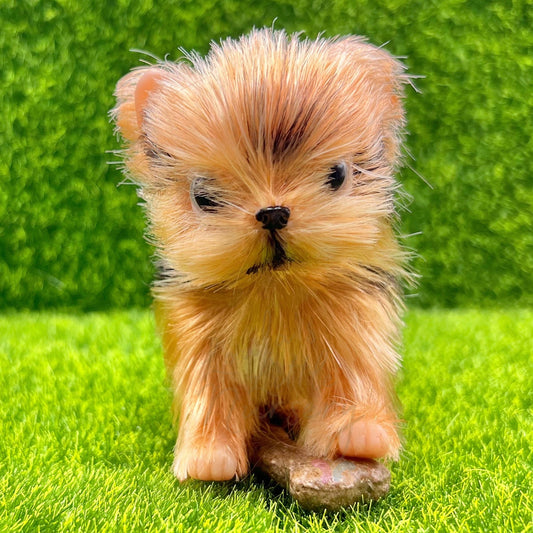 Rover The Yorkshire Terrier Puppy - Loula’s Little Nursery