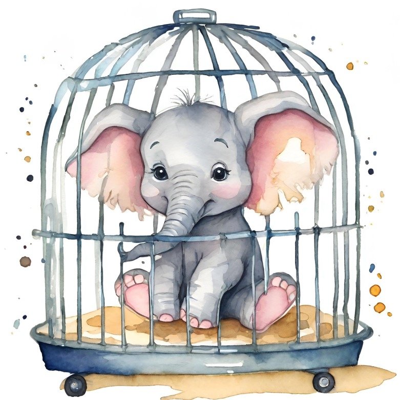 Cages & Carry Pouches - Loula’s Little Nursery