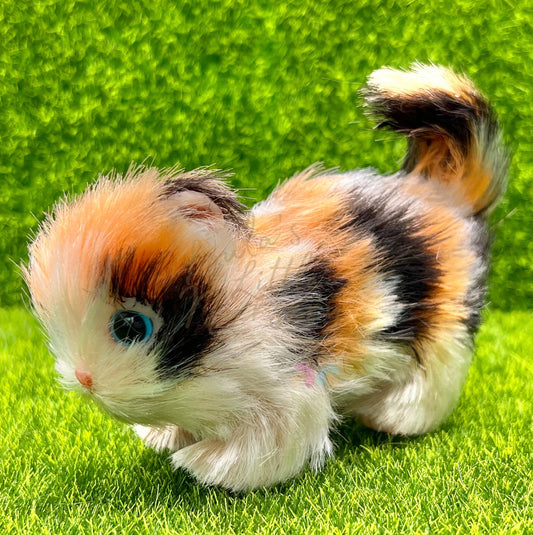 Autumn The Calico Kitten
