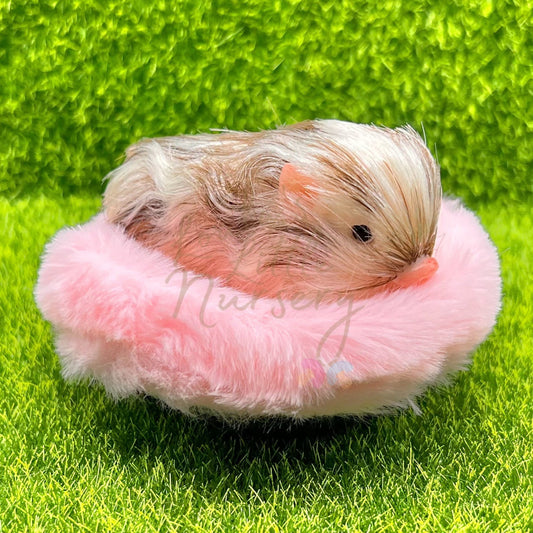 Mini Fluffy Bed For Teeny Weenie Babies®