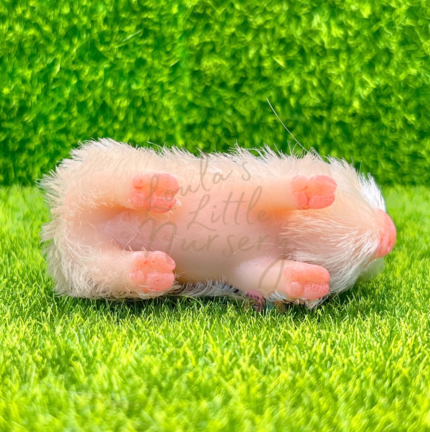 Baby Buttons Piglet In Egg - Teeny Weenie Babies Collection®️