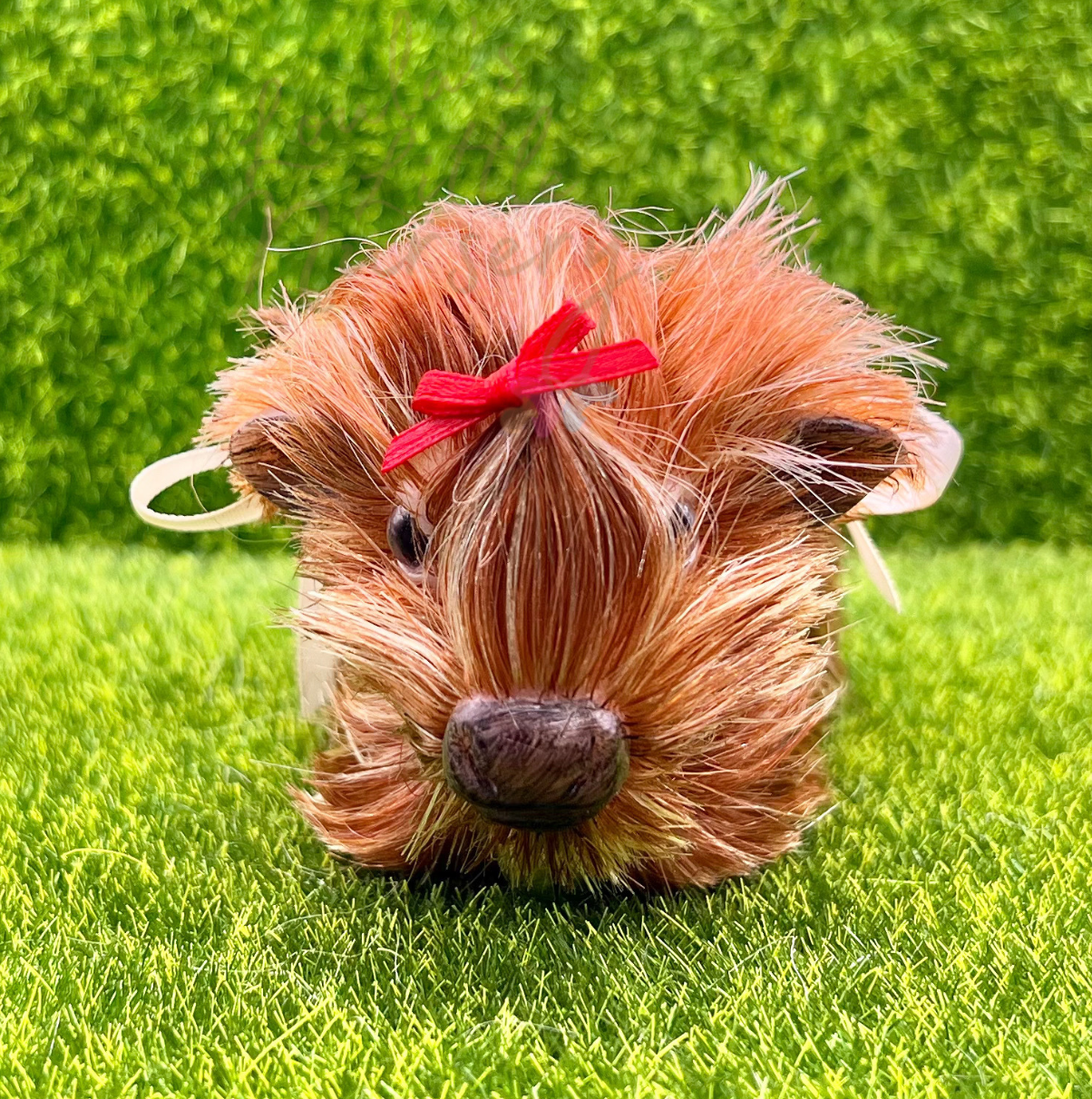 Dorothy The Highland Cow