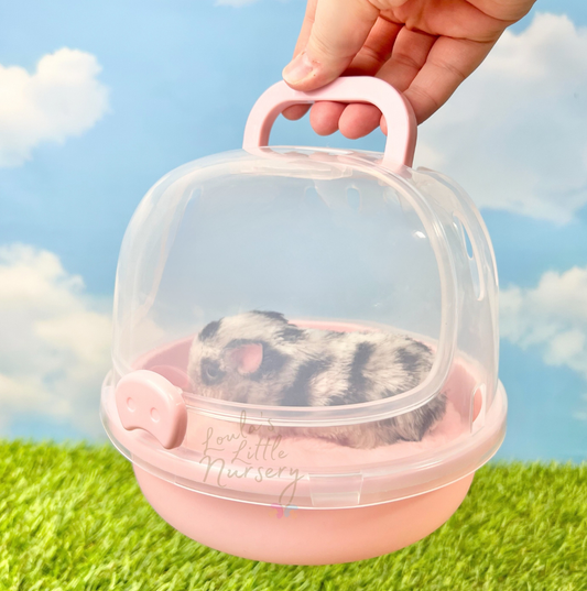 Piggy Nose Cage