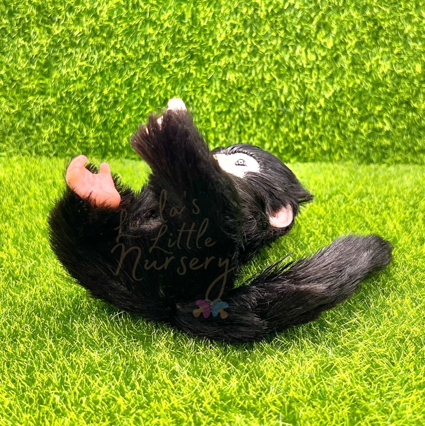 Peruvian Spider Monkey Holding Milk Bottle