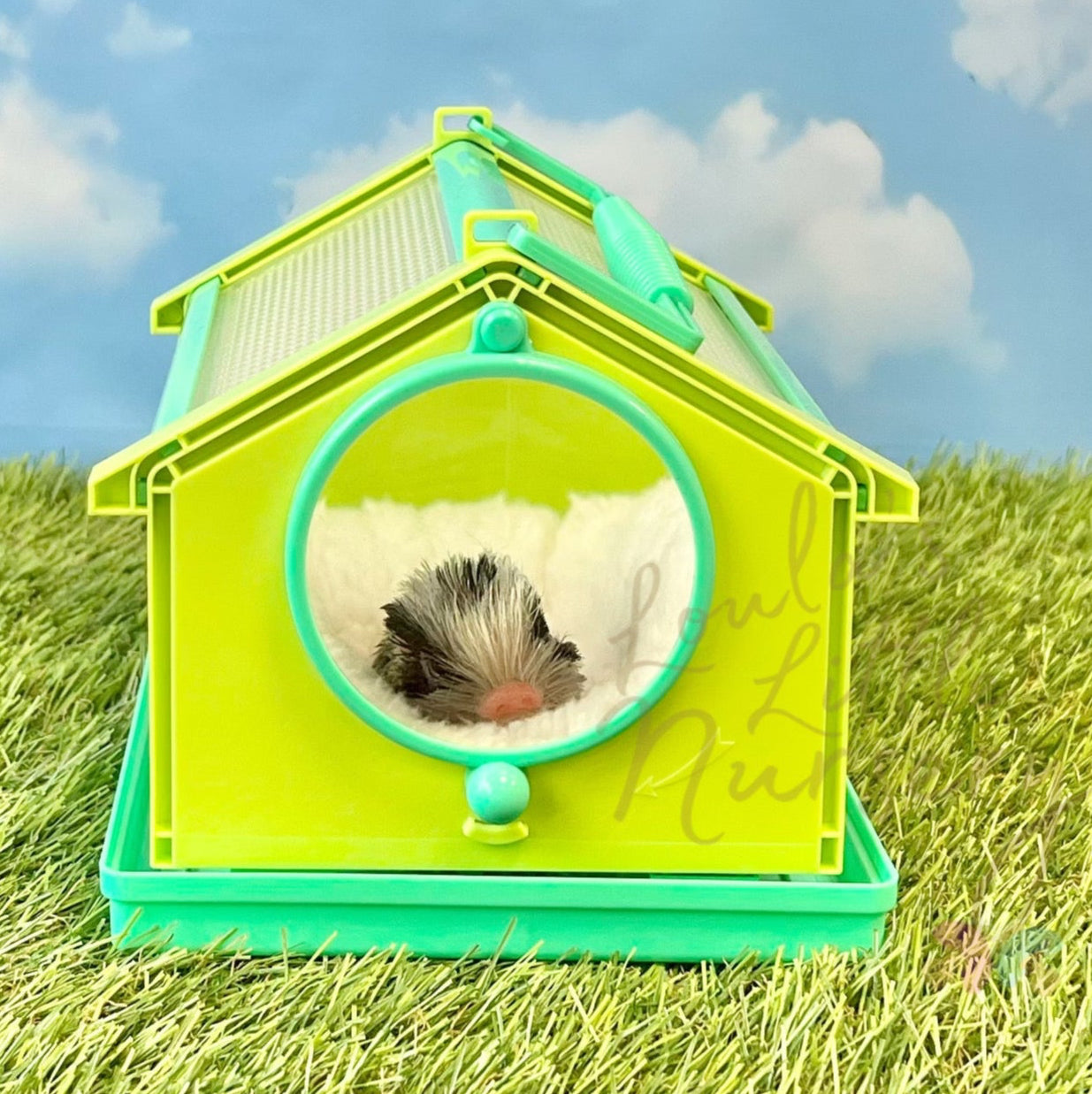 Microscopic Cage For Teeny Weenie Babies®
