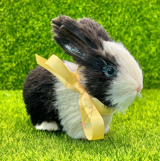 Magpie The Dutch Silicone Bunny Rabbit